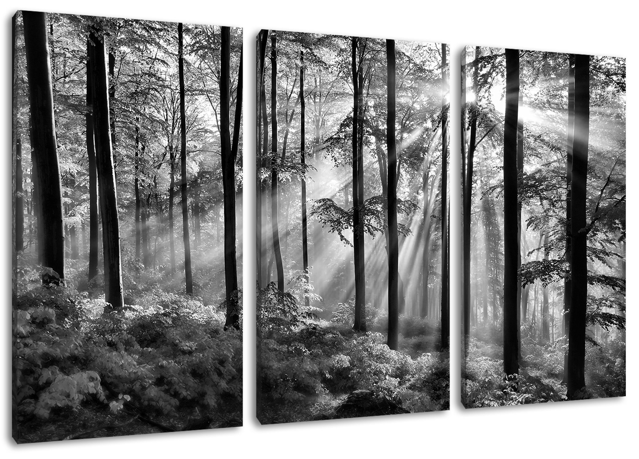 Pixxprint Leinwandbild Sonnenstrahlen im (120x80cm) bespannt, Wald Leinwandbild Zackenaufhänger Wald, im St), fertig Sonnenstrahlen inkl. (1 3Teiler