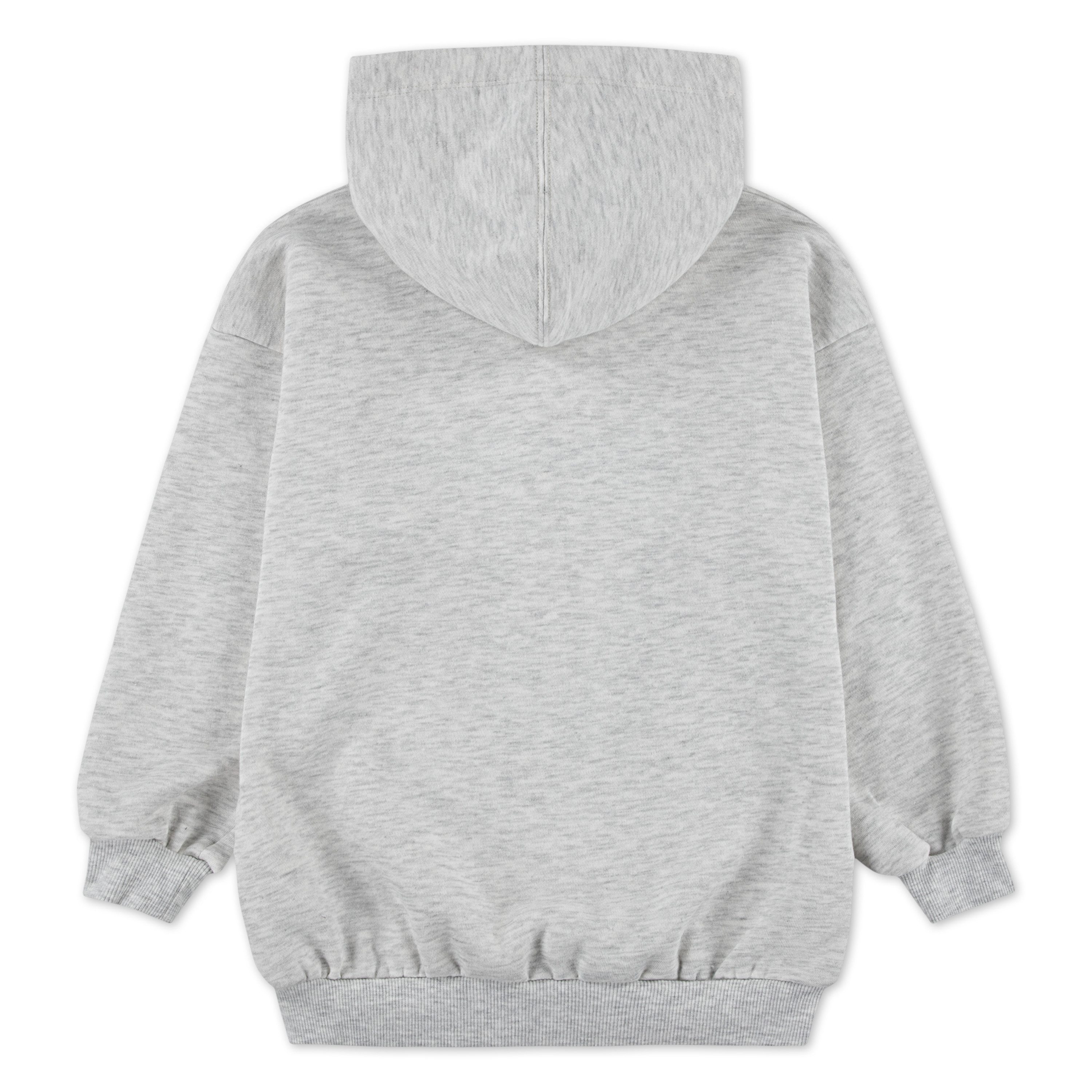 Converse Kapuzensweatshirt CNVG GFX BOYFRIEND HOODIE günstig online kaufen