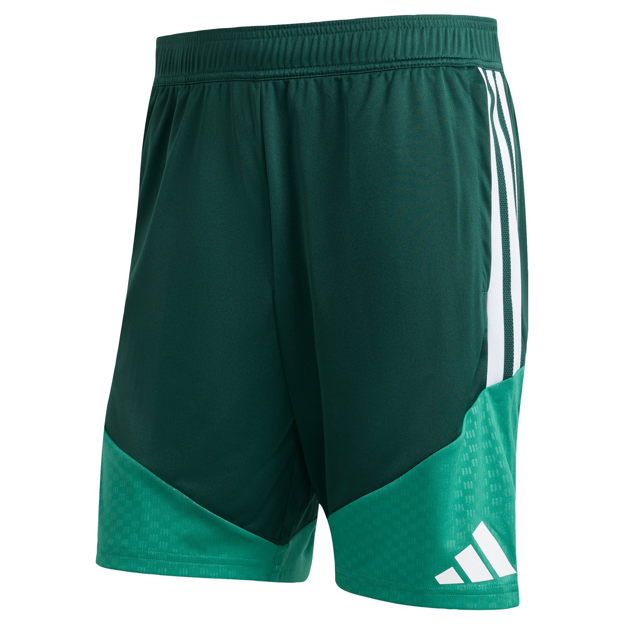 adidas Performance Shorts ALGERIEN 26 TRAININGSSHORTS (1-tlg)