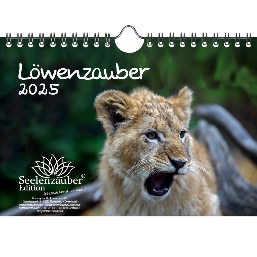 Seelenzauber Wandkalender Löwenzauber DIN A5 Kalender für 2025 Löwen und Löwenbabys
