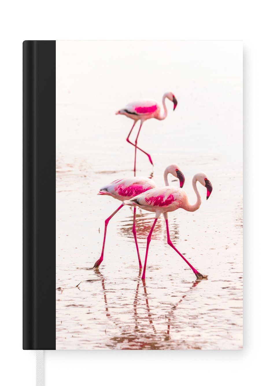 Spaziergang, Notizheft, 98 beim A5, Haushaltsbuch Rosa MuchoWow Tagebuch, Flamingos Notizbuch Journal, Seiten, Merkzettel,