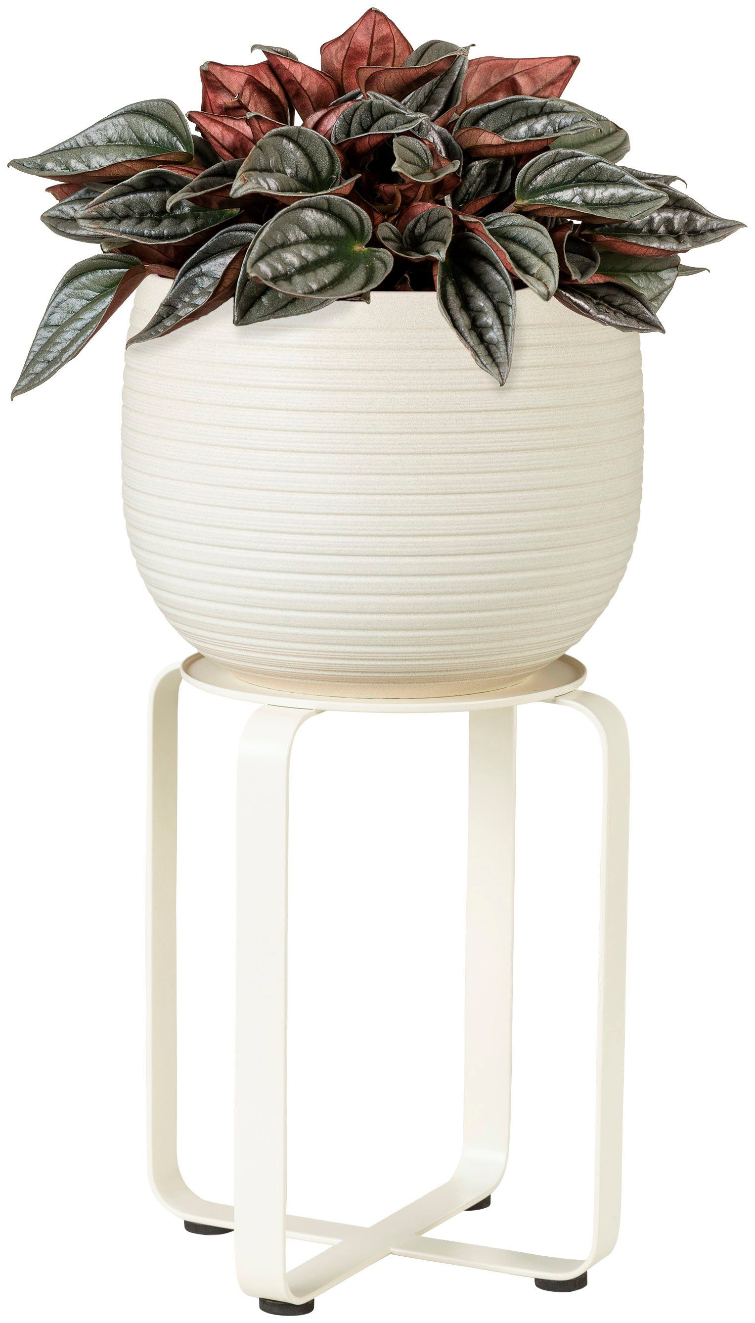 Scheurich Blumenständer white matt 27/104 günstig online kaufen