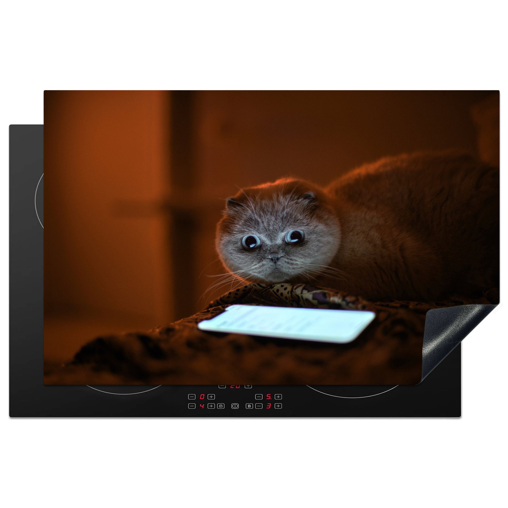MuchoWow Herdblende-/Abdeckplatte Komische Katze schaut auf ein Telefon, Vinyl, (1 tlg), 81x52 cm, Induktionskochfeld Schutz für die küche, Ceranfeldabdeckung