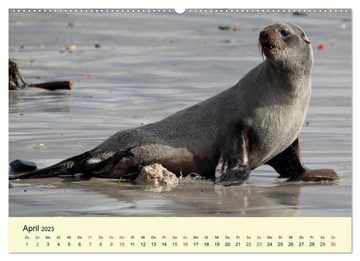 CALVENDO Wandkalender Seehunde und Otter. Putzige Gesellen, perfekte Schwimmer (Premium, hochwertiger DIN A2 Wandkalender 2023, Kunstdruck in Hochglanz)