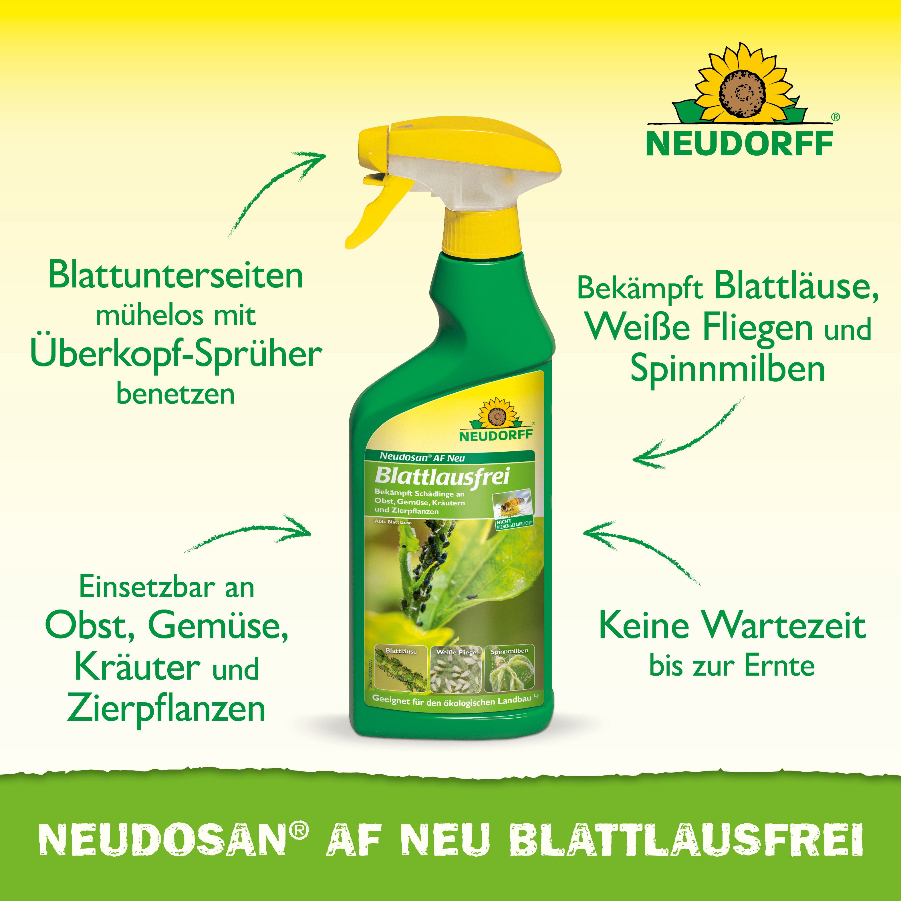Neudorff Insektenspray Neudosan AF Neu Blattlausfrei, 500 ml, Einzelprodukt, Anwendungsfertiges Blattlausfrei Spray mit Überkopf-Sprüher, Kontaktmittel mit Kali – Bild 2 von 5