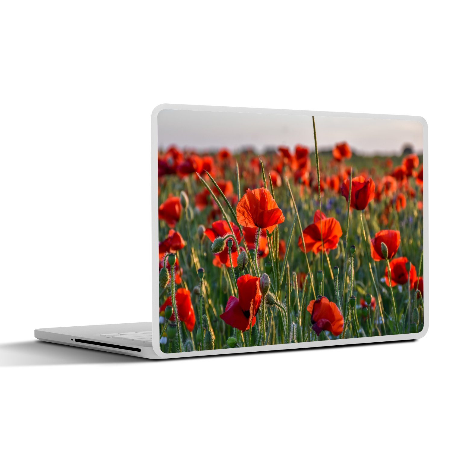 MuchoWow Laptop-Aufkleber Blumen - Mohnblumen - Natur - Rot, (1tlg), Laptop Folien Cover, Aufkleber, Sticker, Schutz vor Kratzern, 30x21 cm