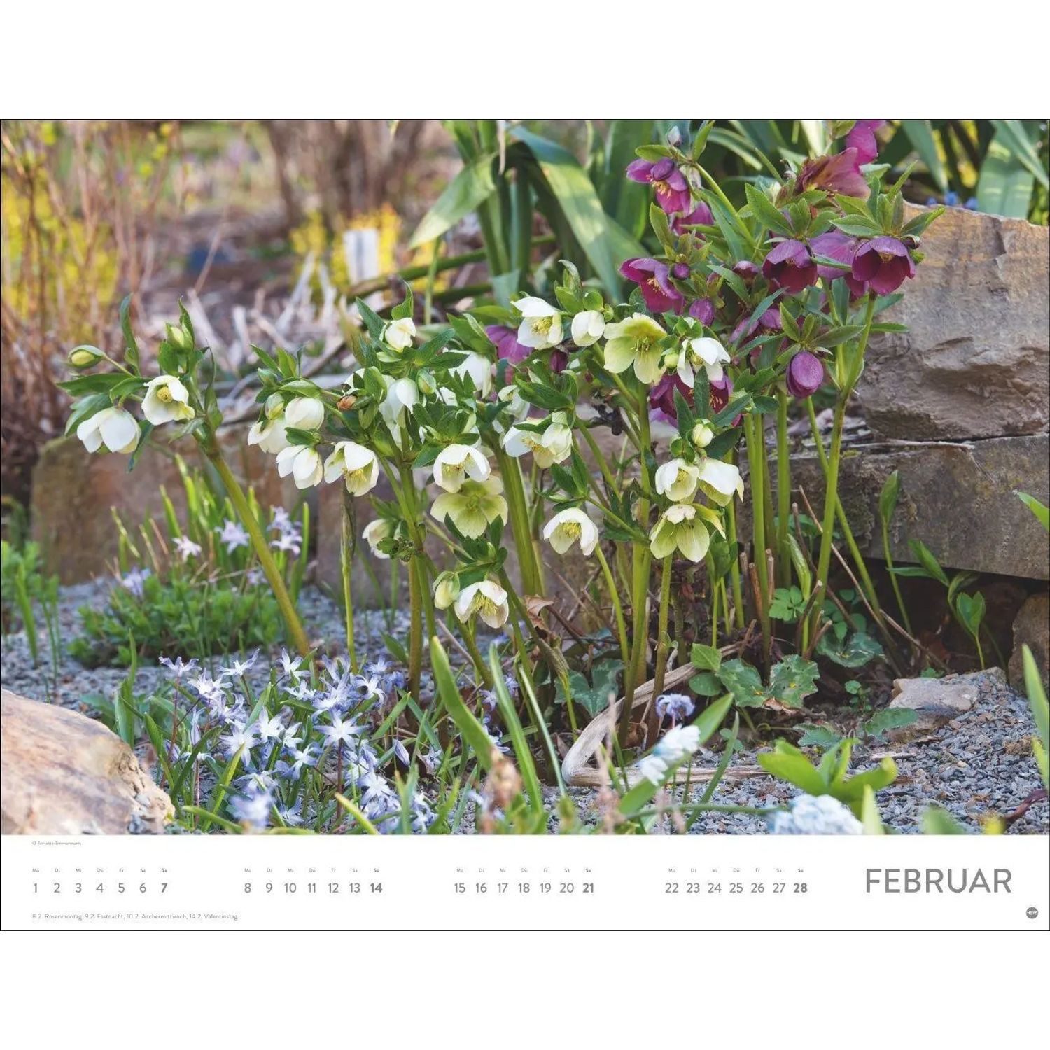 HEYE Wandkalender Gartenparadies Posterkalender 2027 – Bild 4 von 5