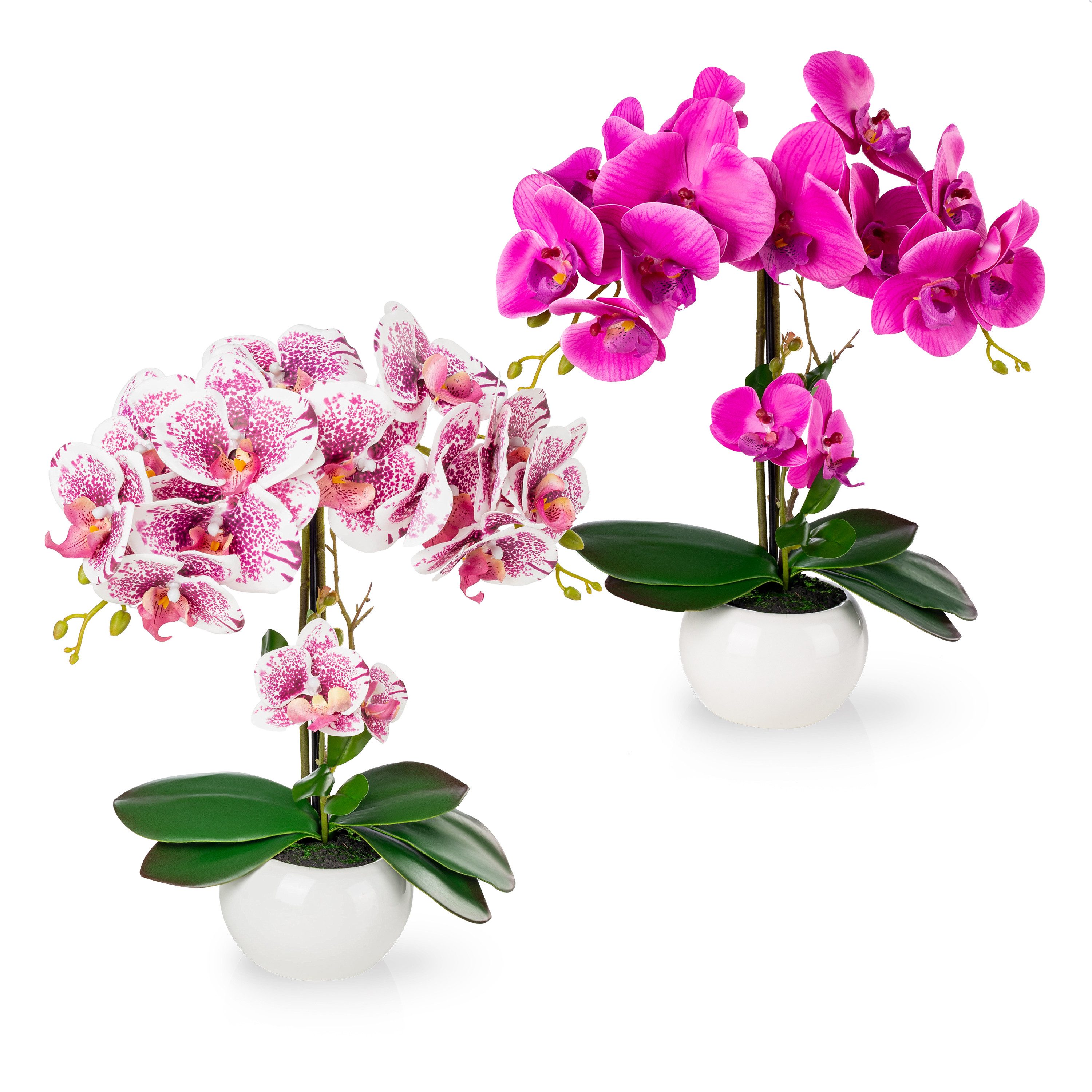 Kunstorchidee PASCH® Orchidee künstlich wie echt günstig online kaufen