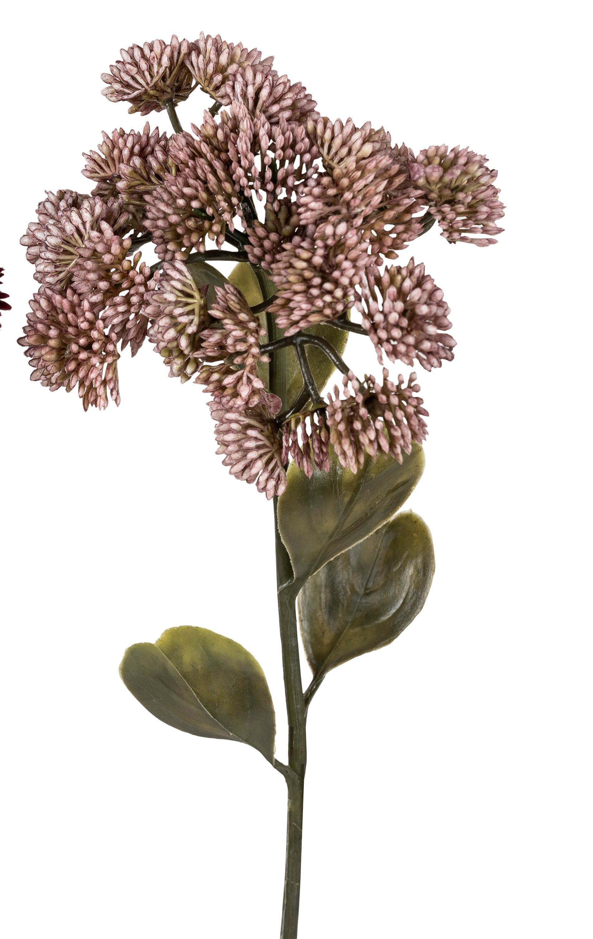 Kunstblume, formano, Höhe 46 cm, Farbe: Rosa, Motiv: Sedumzweig günstig online kaufen