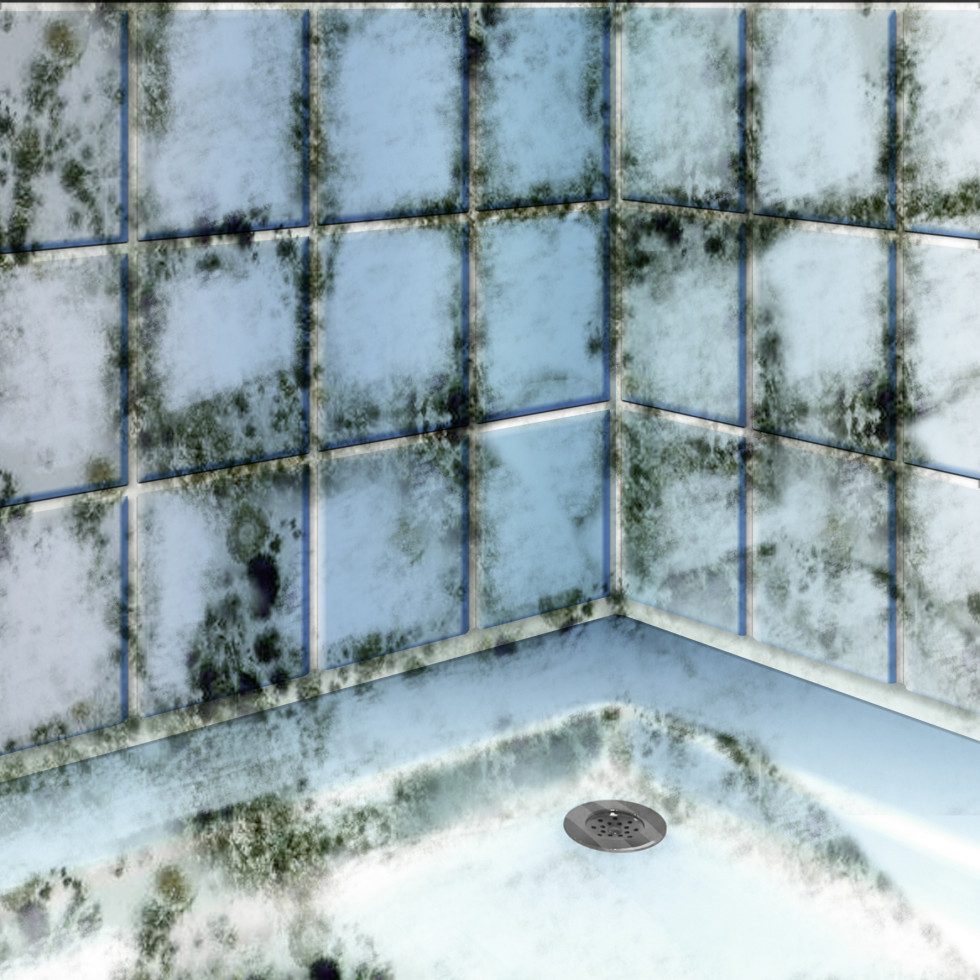 MEM Bauchemie MEM Schimmel-Vernichter 500 ml Schimmelentferner