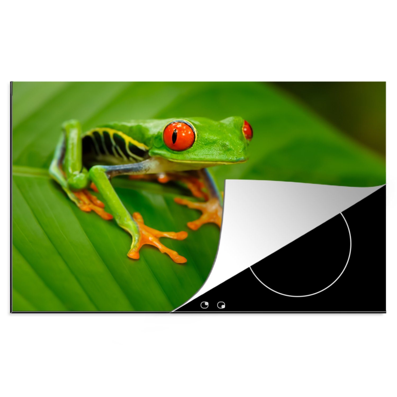 MuchoWow Herdblende-/Abdeckplatte Frosch - Blatt - Grün, Vinyl, (1 tlg), 81x52 cm, Induktionskochfeld Schutz für die küche, Ceranfeldabdeckung