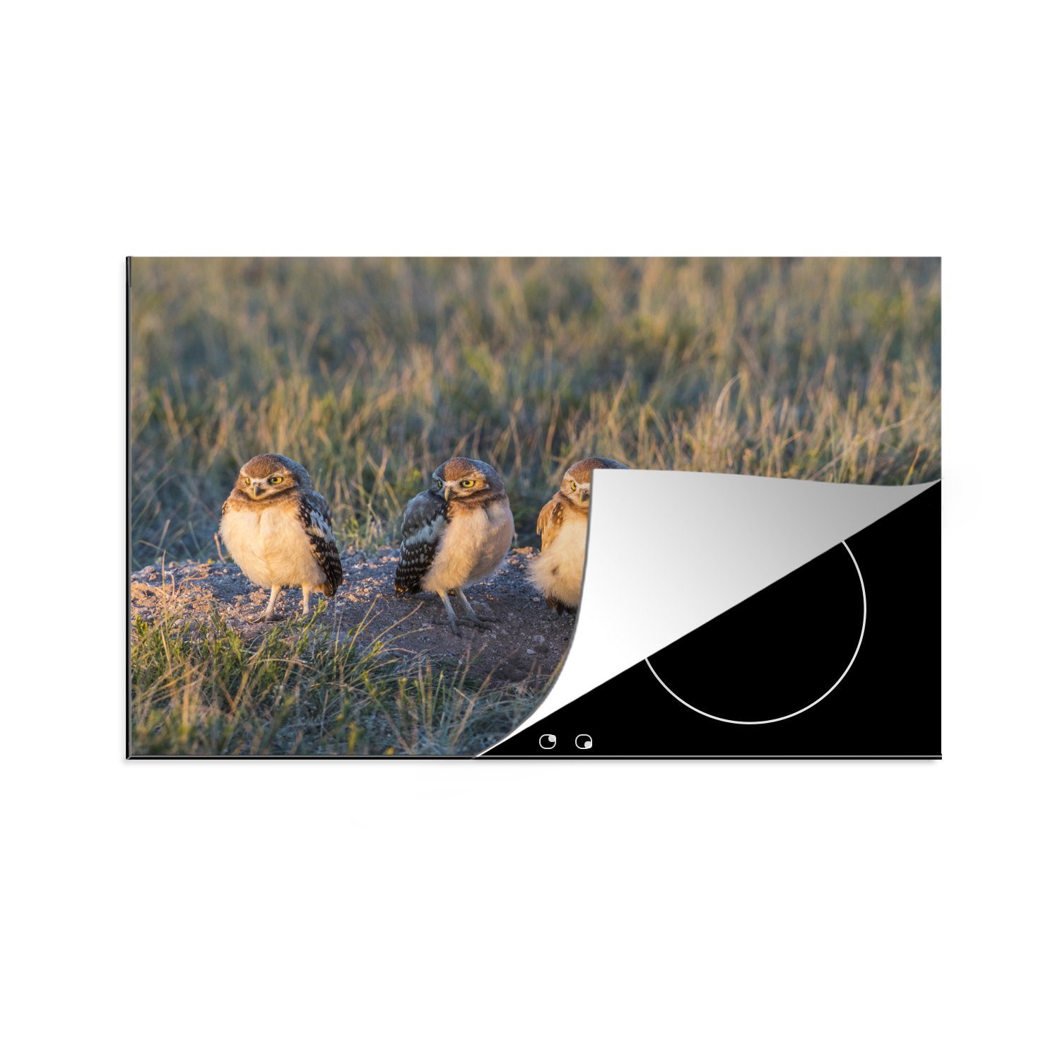 MuchoWow Herdblende-/Abdeckplatte Fünf Eulen in Wyoming, Vinyl, (1 tlg), 81x52 cm, Induktionskochfeld Schutz für die küche, Ceranfeldabdeckung