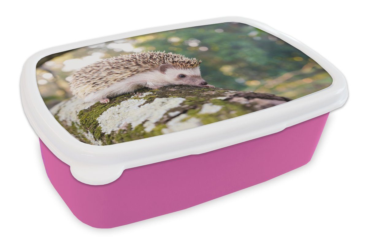 MuchoWow Lunchbox Kriechender Igel auf einem Ast, Kunststoff, (2-tlg), Brotbox für Erwachsene, Brotdose Kinder, Snackbox, Mädchen, Kunststoff rosa