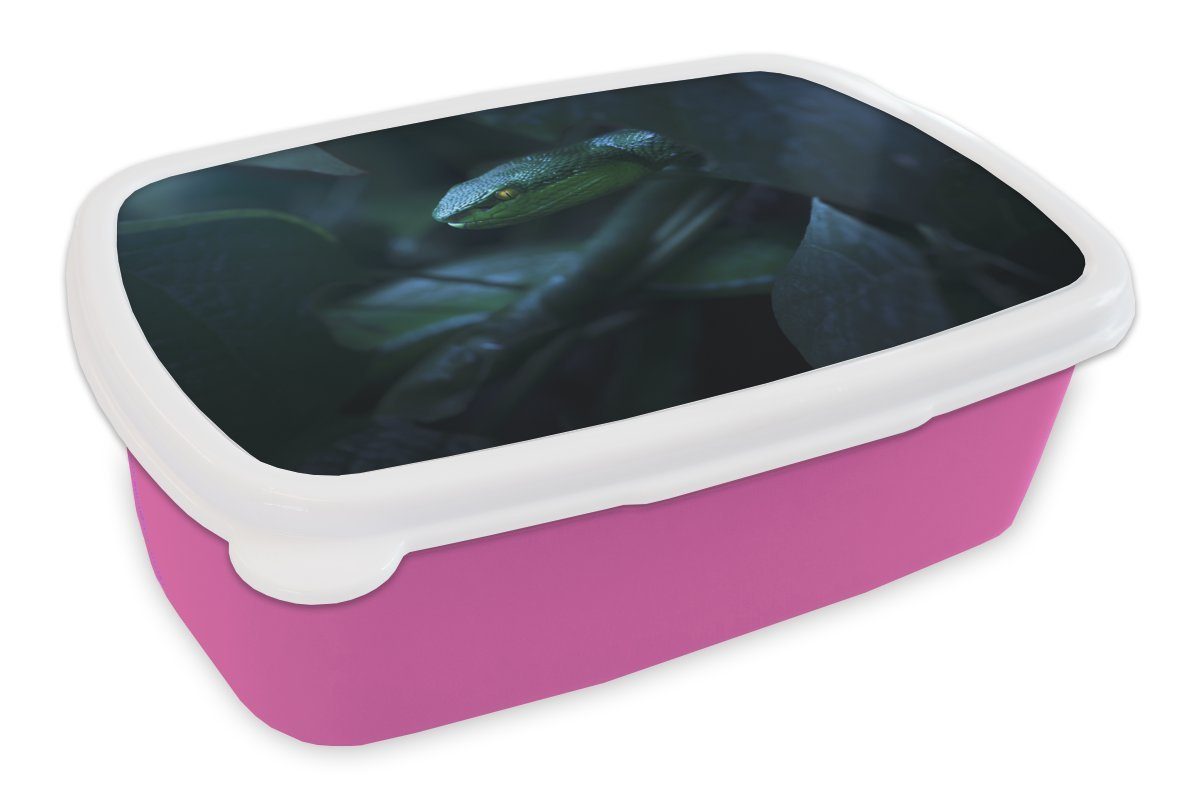MuchoWow Lunchbox Schlange - Makro - Holz, Kunststoff, (2-tlg), Brotbox für Erwachsene, Brotdose Kinder, Snackbox, Mädchen, Kunststoff rosa