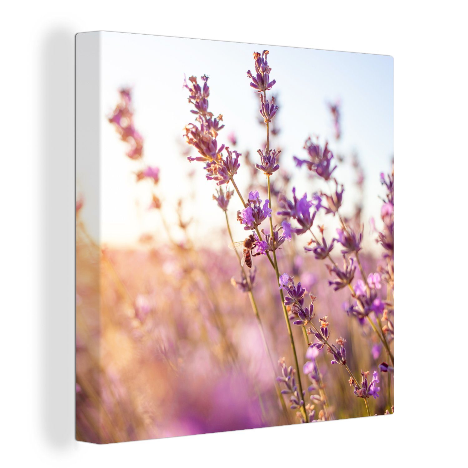 für - OneMillionCanvasses® Lila, Leinwand Schlafzimmer (1 Lavendel Nahaufnahme St), Wohnzimmer Sonne - - Leinwandbild Bilder - Blumen