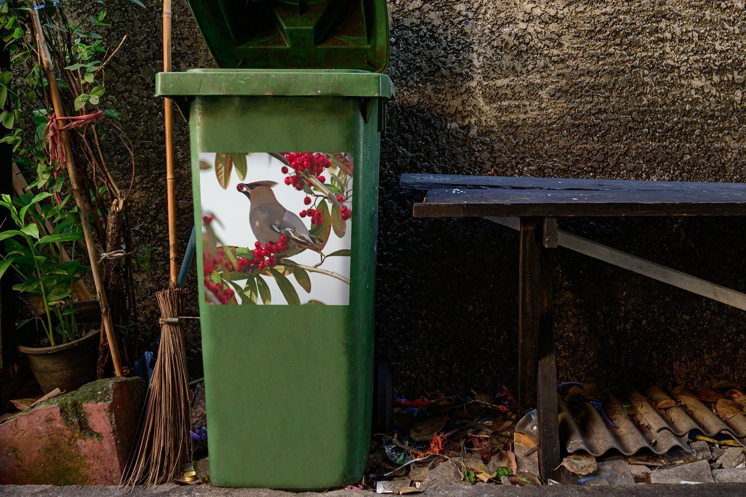 Mülltonne, Pestvogel MuchoWow ernährt von Beeren Wandsticker Sticker, in Abfalbehälter (1 St), Mülleimer-aufkleber, sich Container, England