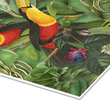 Posterlounge Forex-Bild Andrea Haase, Tucans im Dschungel, Illustration