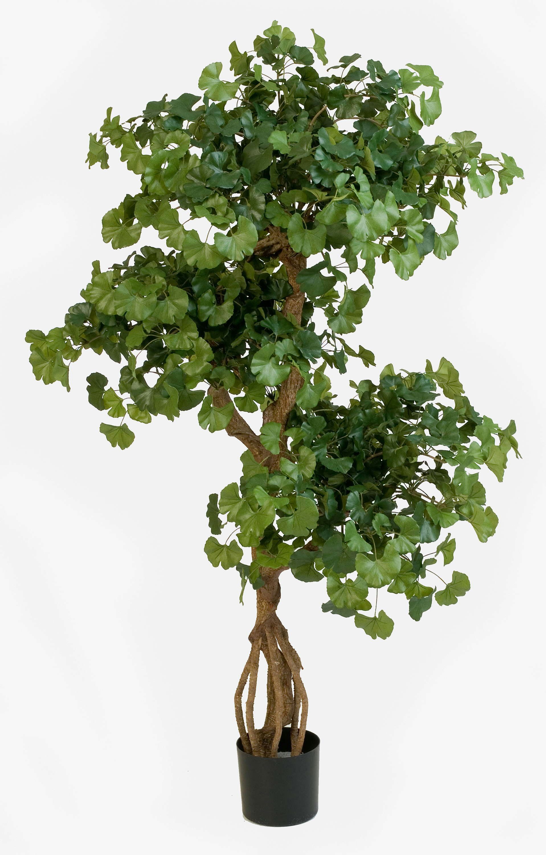 Kunstbaum Ginkgo Baum Gregor, 1092 Blätter, grün, schwer entflammbar, 145cm Ginkgo, artplants, Höhe 145.0 cm