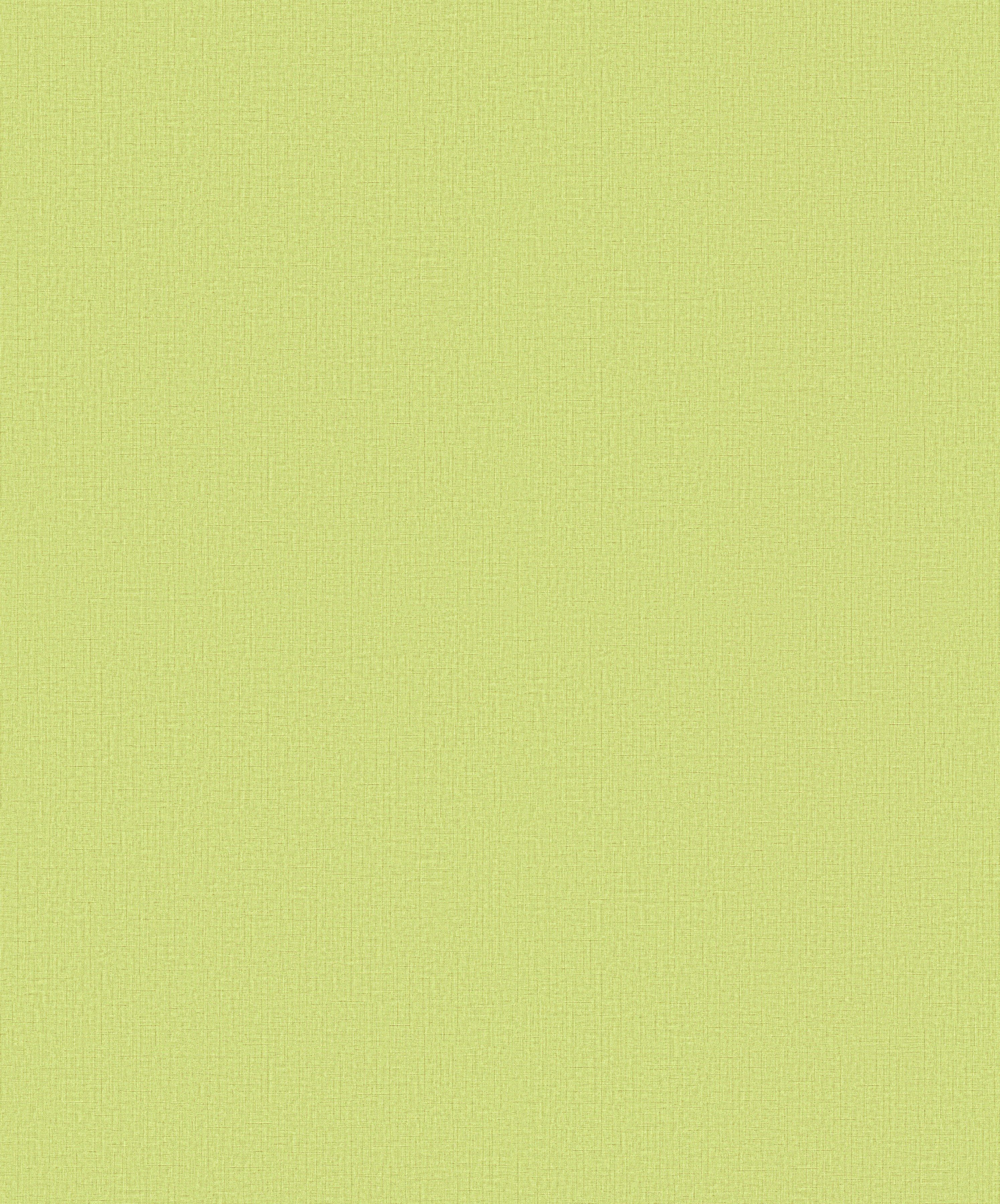 Erismann Vliestapete Paradisio 2, 10,05 x 0,53m Uni grün