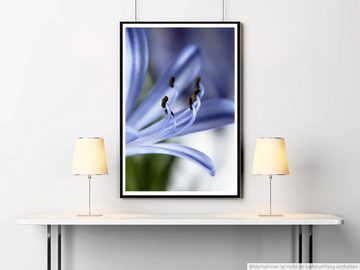 Sinus Art Poster Naturfotografie 60x90cm Poster Blaue Blume