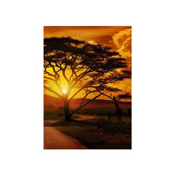 liwwing Fototapete Fototapete Sonnenuntergang Baum Afrika Abenddämmerung Orange liwwing no. 284, Sonnenuntergang