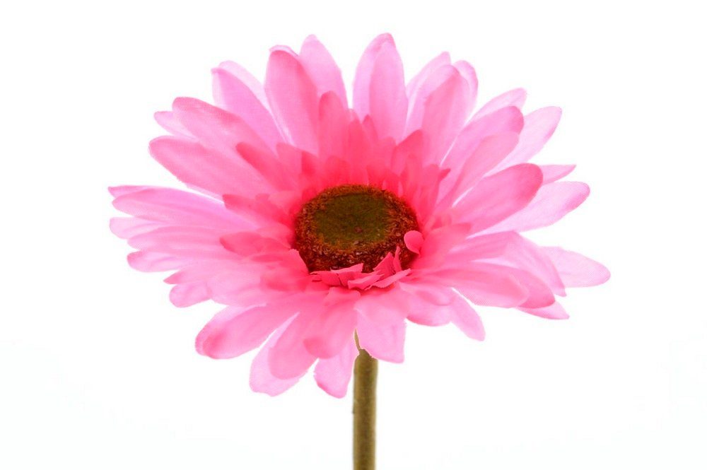 Gerbera Seidenblume Blume Dekoblume pink, Tischdeko Kunstblume Kaemingk Kunstblume