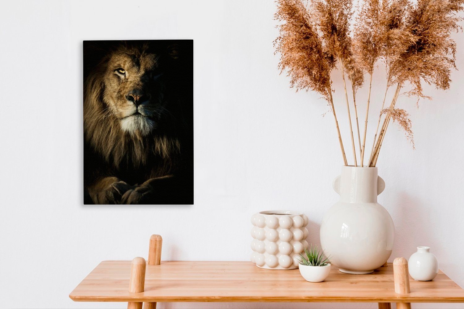 20x30 Zackenaufhänger, cm Gemälde, bespannt Löwen, fertig inkl. OneMillionCanvasses® die St), in schaut, (1 Nahaufnahme eines Kamera der Leinwandbild Leinwandbild