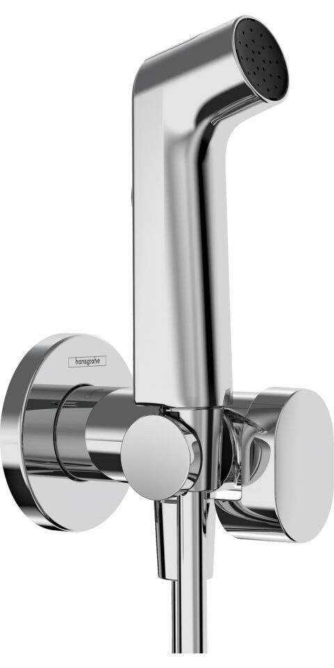 hansgrohe Handbrause