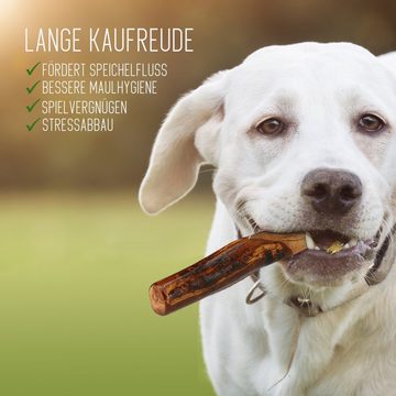 Lantelme Kauspielzeug Kaustab Kauknochen aus 100% Olivenholz Kauholz für Hunde, 20cm in 2cm, 4cm und 6cm Durchmesser