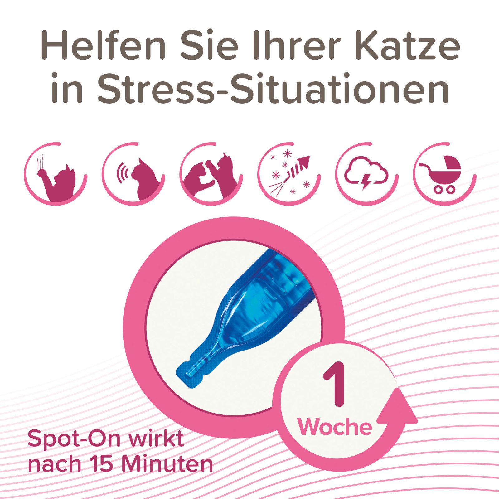 beaphar Tier-Beruhigungspheromone CatComfort Wohlfühl Spot-On für Katzen, 3x 0,55 ml