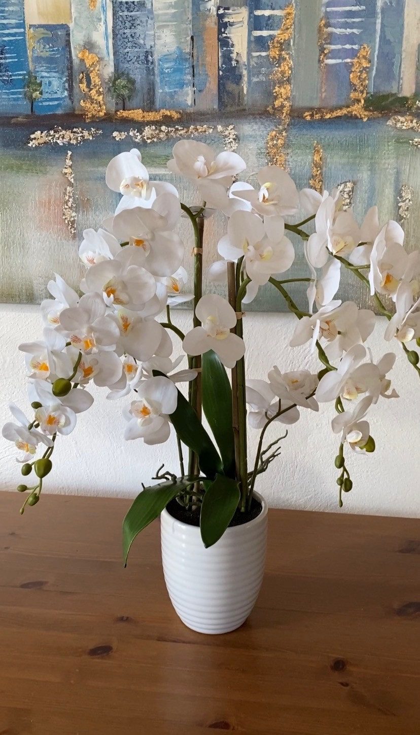 Kunstblume Kunstorchidee Deko-Orchidee Phalaenopsis im Keramiktopf, Höhe 67 cm Orchidee, Creativ green