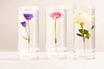 esschert design Kugelvase Kappe Deckel Verschluss für Versunkene Blumen Vase Wasser Pflanzen Schutz (1 Deckel)