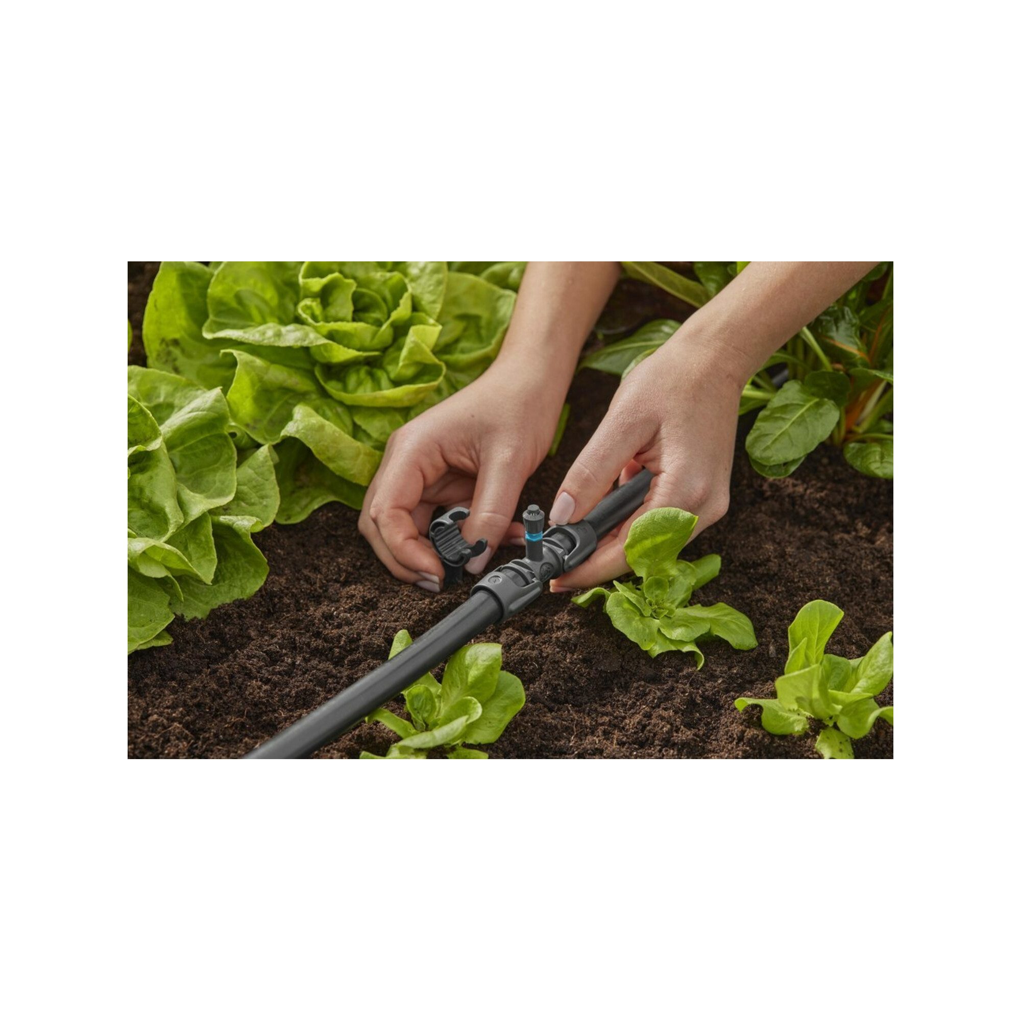 GARDENA Bewässerungssystem Gardena T-Stück für Sprühdüsen 13 mm (1/2) MDS Inhalt: 5 Stück
