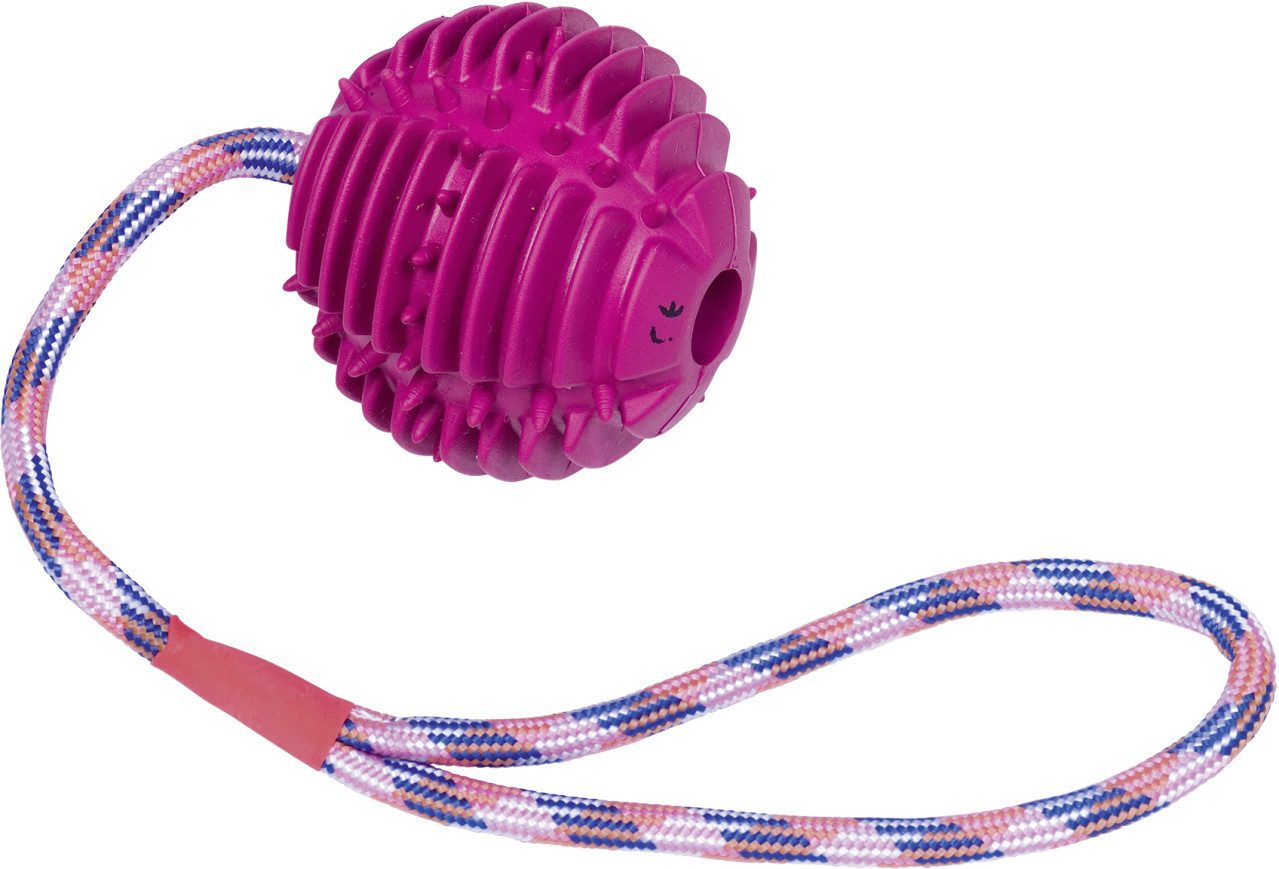 Nobby Spielball Nobby Vollgummi Ball mit Seil lila Ball 7,5 cm