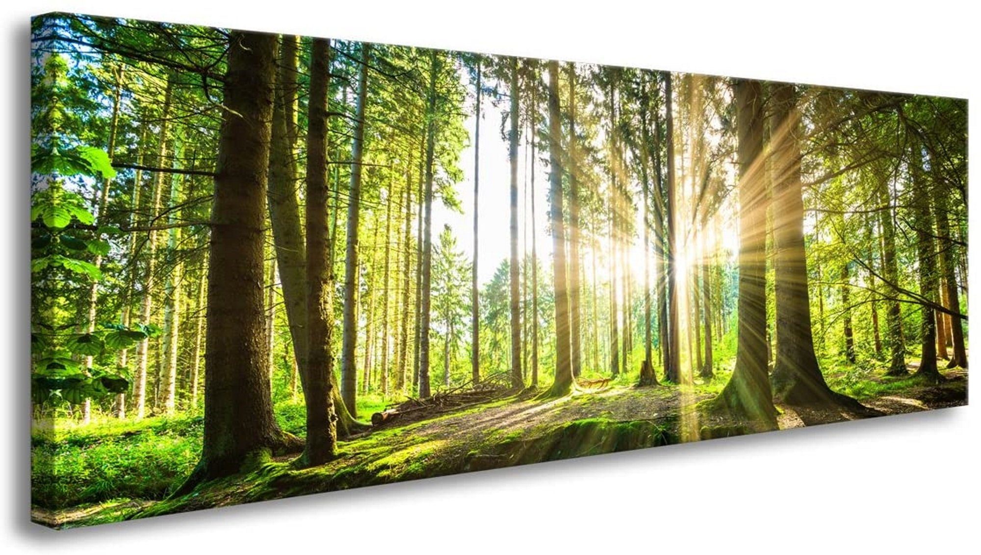 Visario Leinwandbild 1-teiliges Bild auf Leinwand fertig gerahmt Maße 120 x 40 cm, 5730