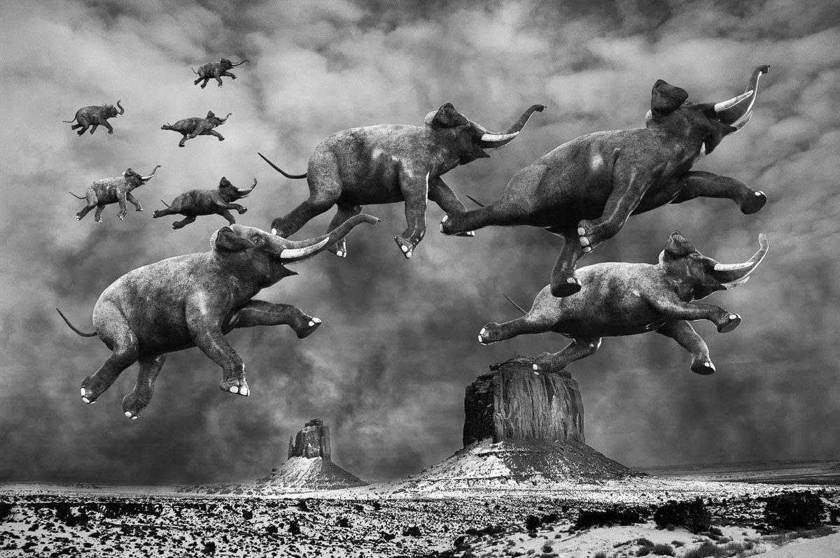Papermoon Fototapete Surreale fliegende Elefanten