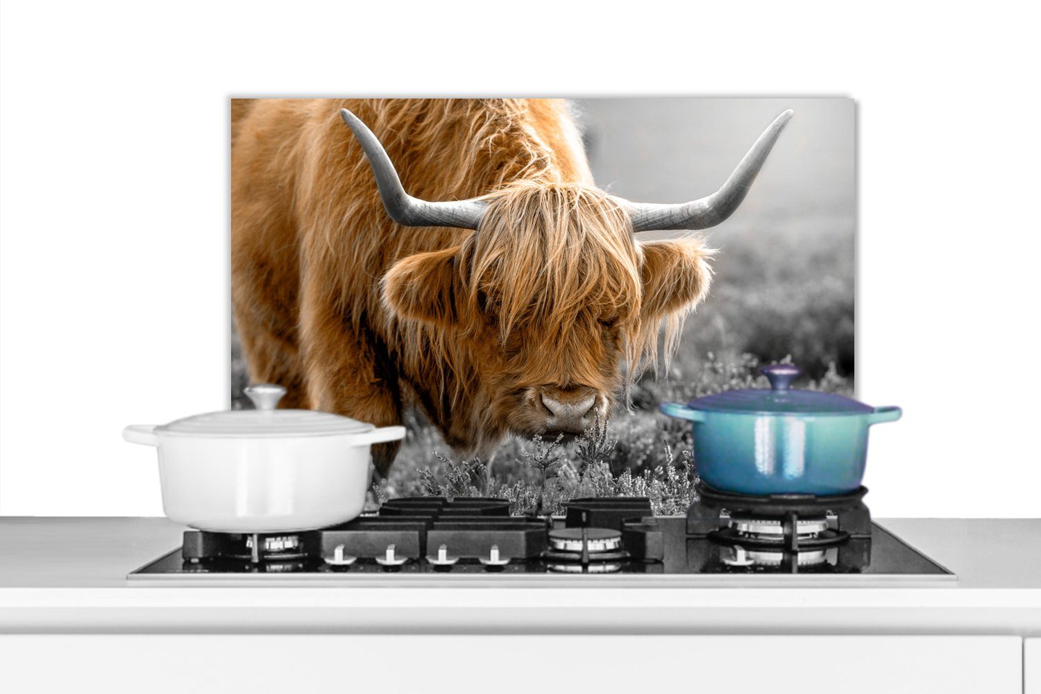 MuchoWow Küchenrückwand Schottischer Highlander - Tiere - Braun - Kuh - Schwarz - Weiß - Natur, (1-tlg), 60x40 cm, Herdblende aus Wandschutz, Temperaturbeständig küchen