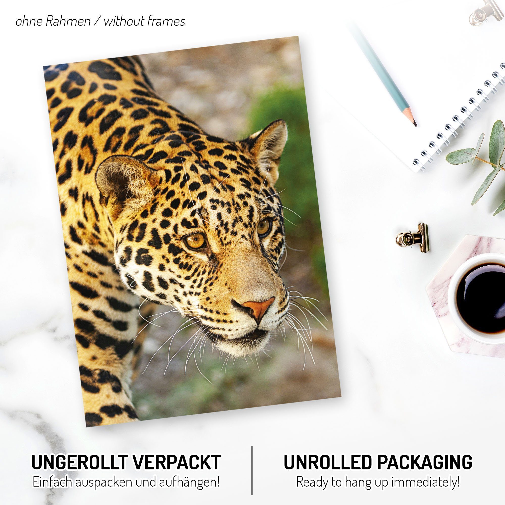 Kreative Feder Poster, Natur, Dschungel, Wald, Jaguar, Tier, Wasserfall (Set, 6 St), 6-teiliges Poster-Set, Wandbild, Posterwand, optional mit Rahmen