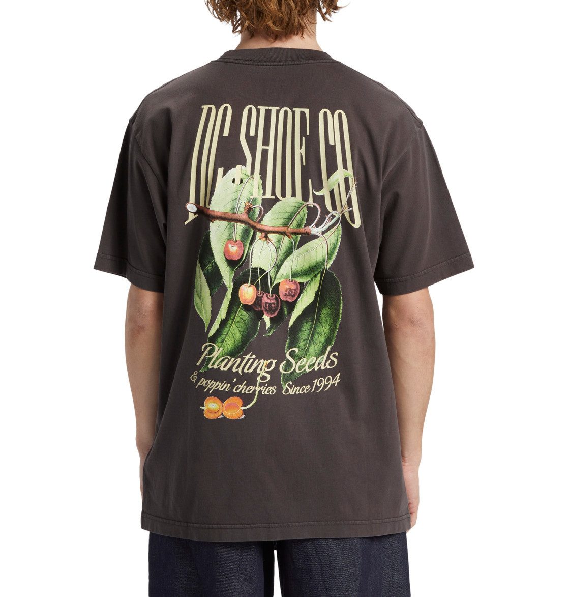 DC Shoes T-Shirt T-Shirt DC Seed Planter, G M