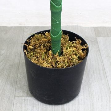 Kunstpalme Kunstpflanze Kunstbaum Künstliche Pflanze Palme Farnpalme 100 cm, Decovego