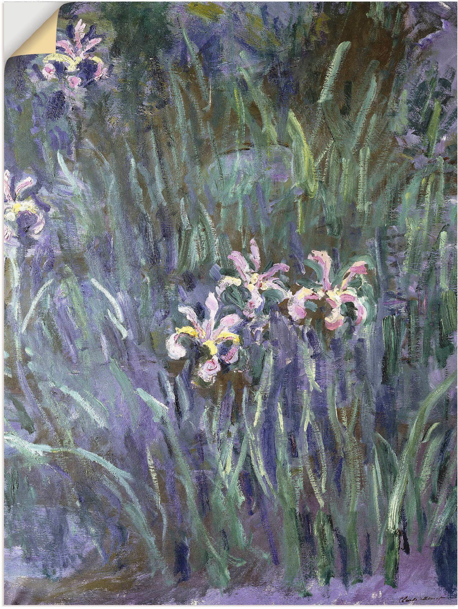 Artland Schwertlilien. Wandbild in Um Größen St), (1 als Wandaufkleber Blumen oder Leinwandbild, 1914-17, versch. Poster