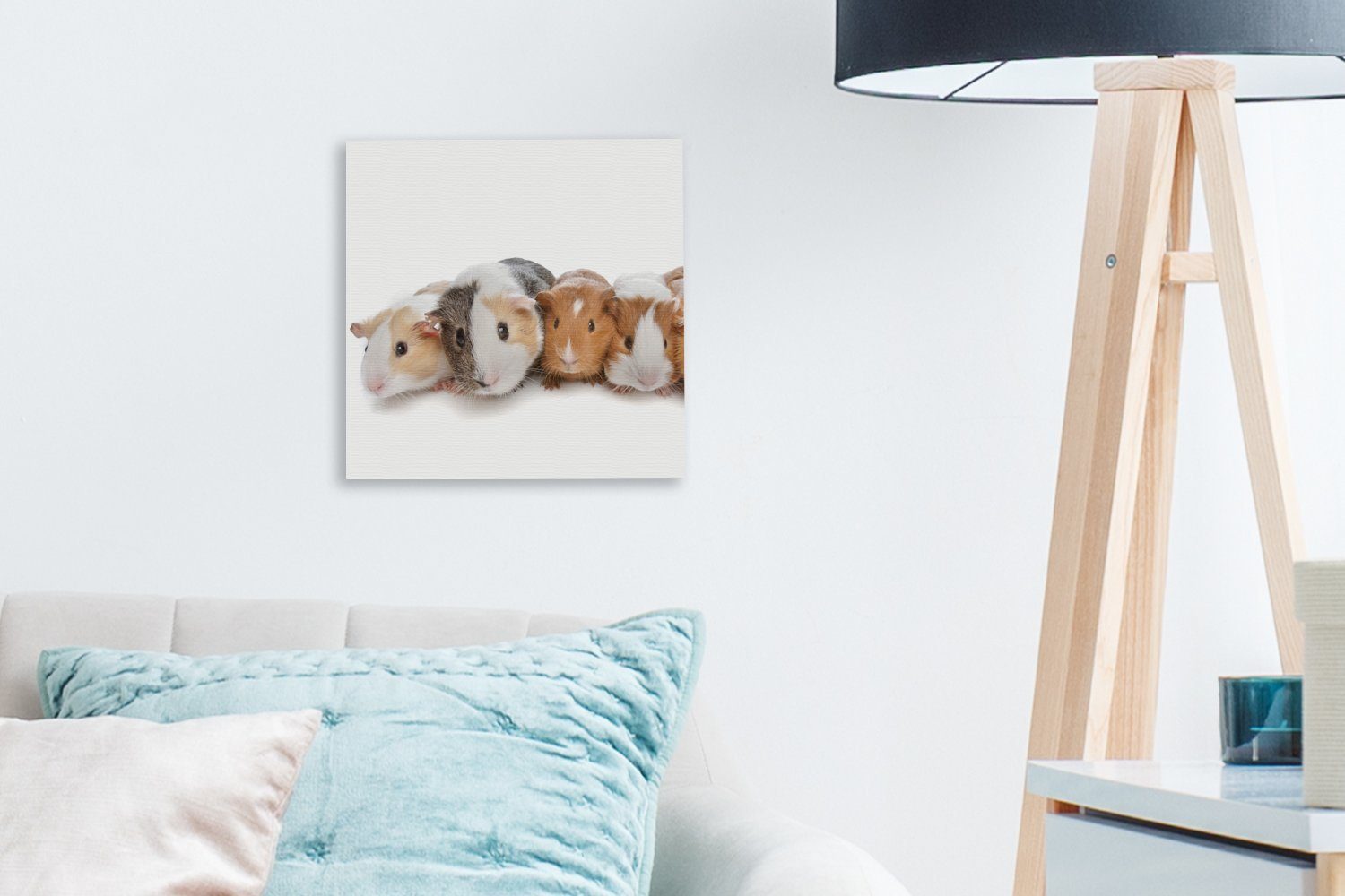 Fünf OneMillionCanvasses® Meerschweinchen, für Bilder Leinwand (1 Schlafzimmer Wohnzimmer Leinwandbild St),
