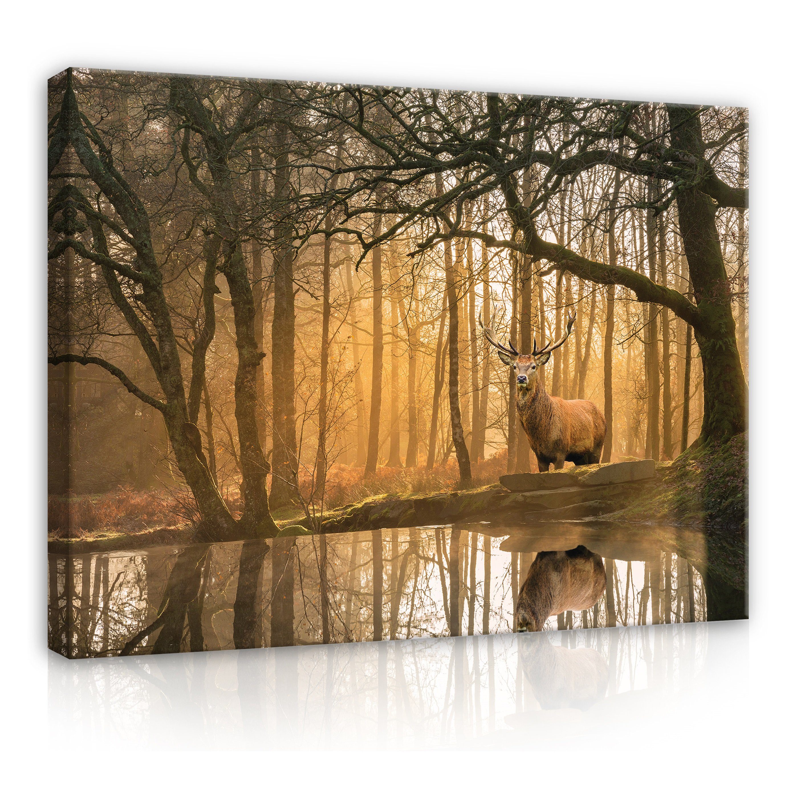 Wallarena Leinwandbild Leinwandbilder Wandbild Wald Wald (Einteilig), Modern, XXL Hirsche Sonne Hirsch im Aufhängefertig Natur Tiere