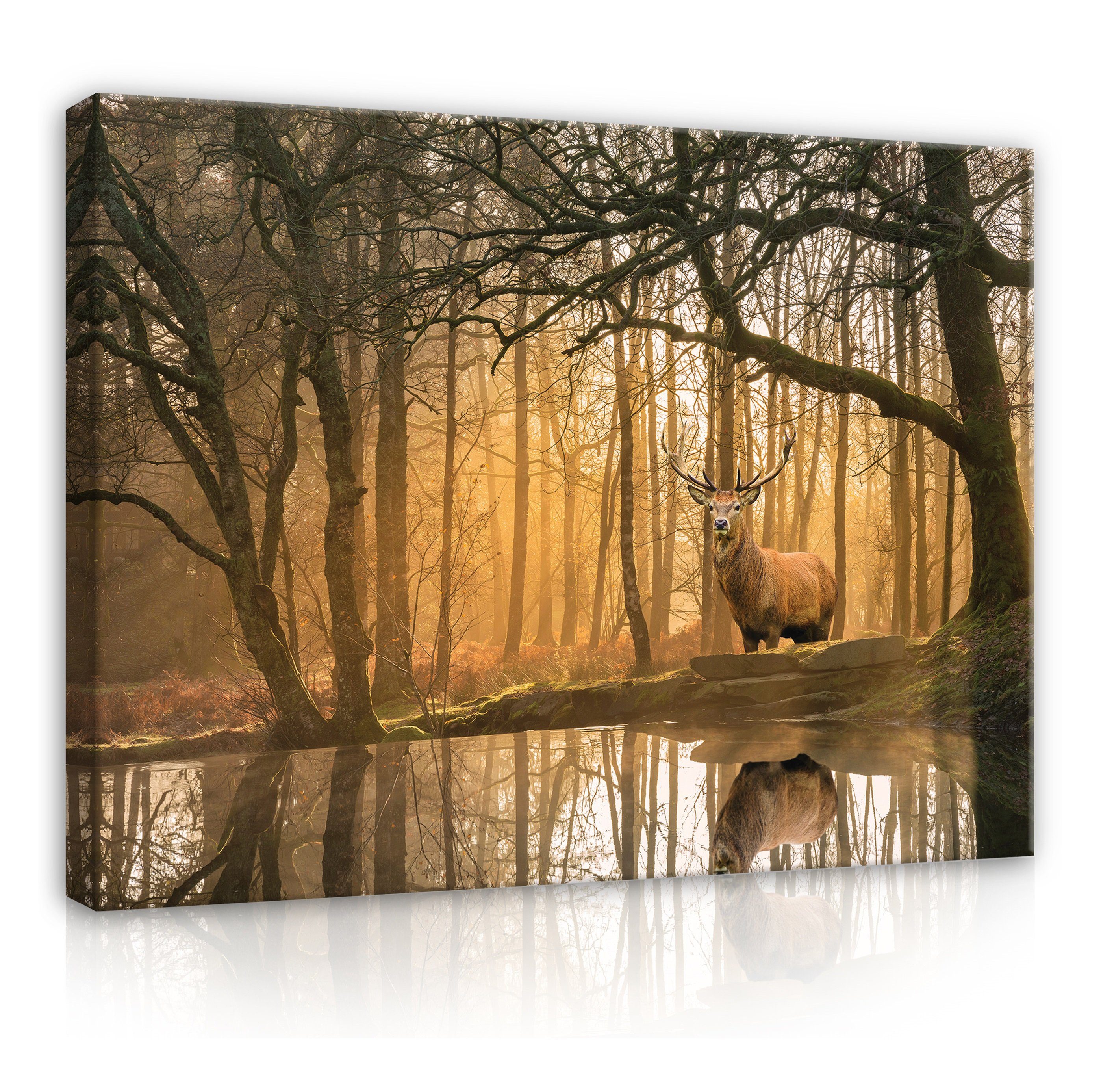 Wallarena Leinwandbild Wald Hirsch Tiere Natur Beige Wandbild XXL Leinwandb günstig online kaufen