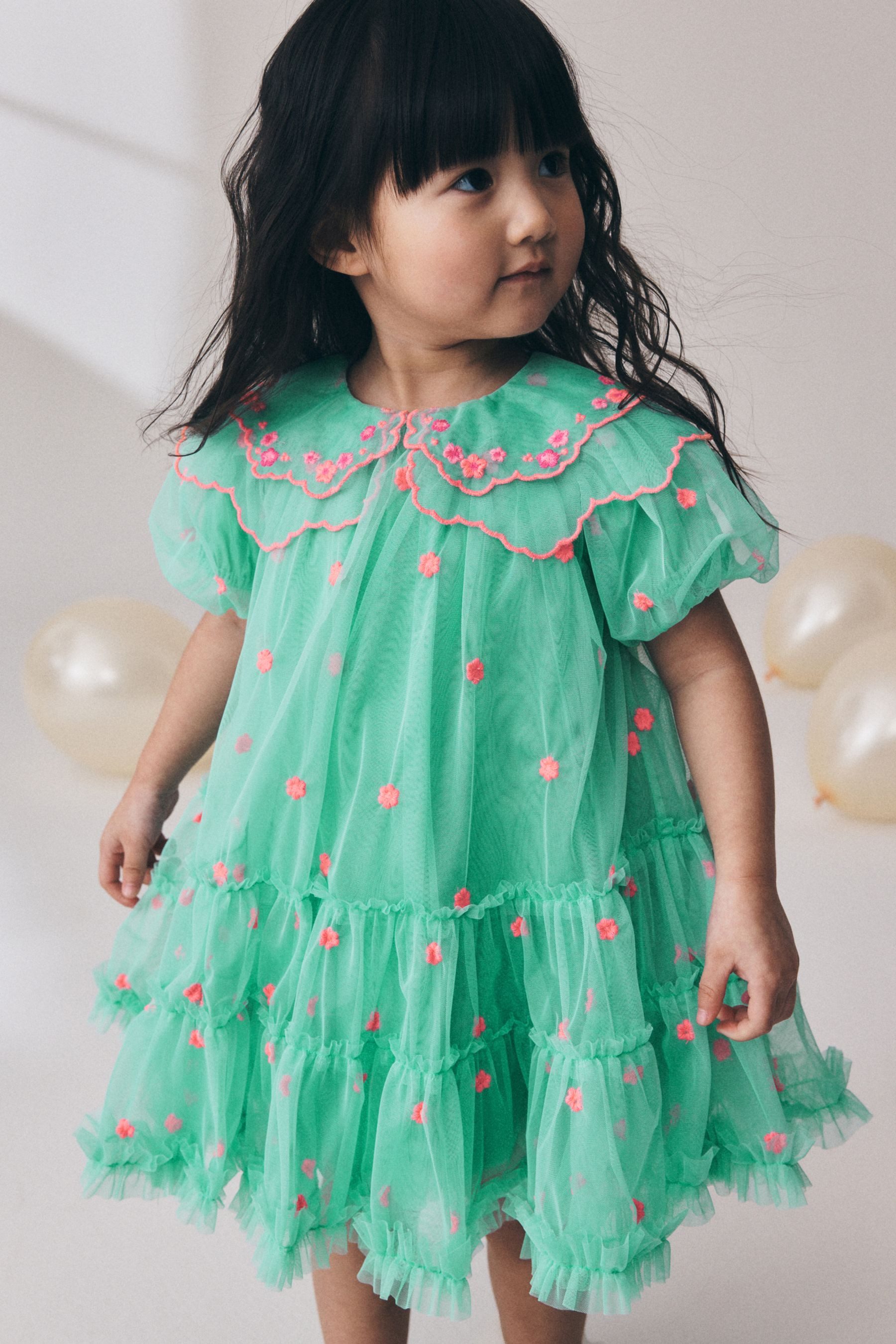 Next Partykleid Festliches Mesh-Kleid mit Stickerei (1-tlg)