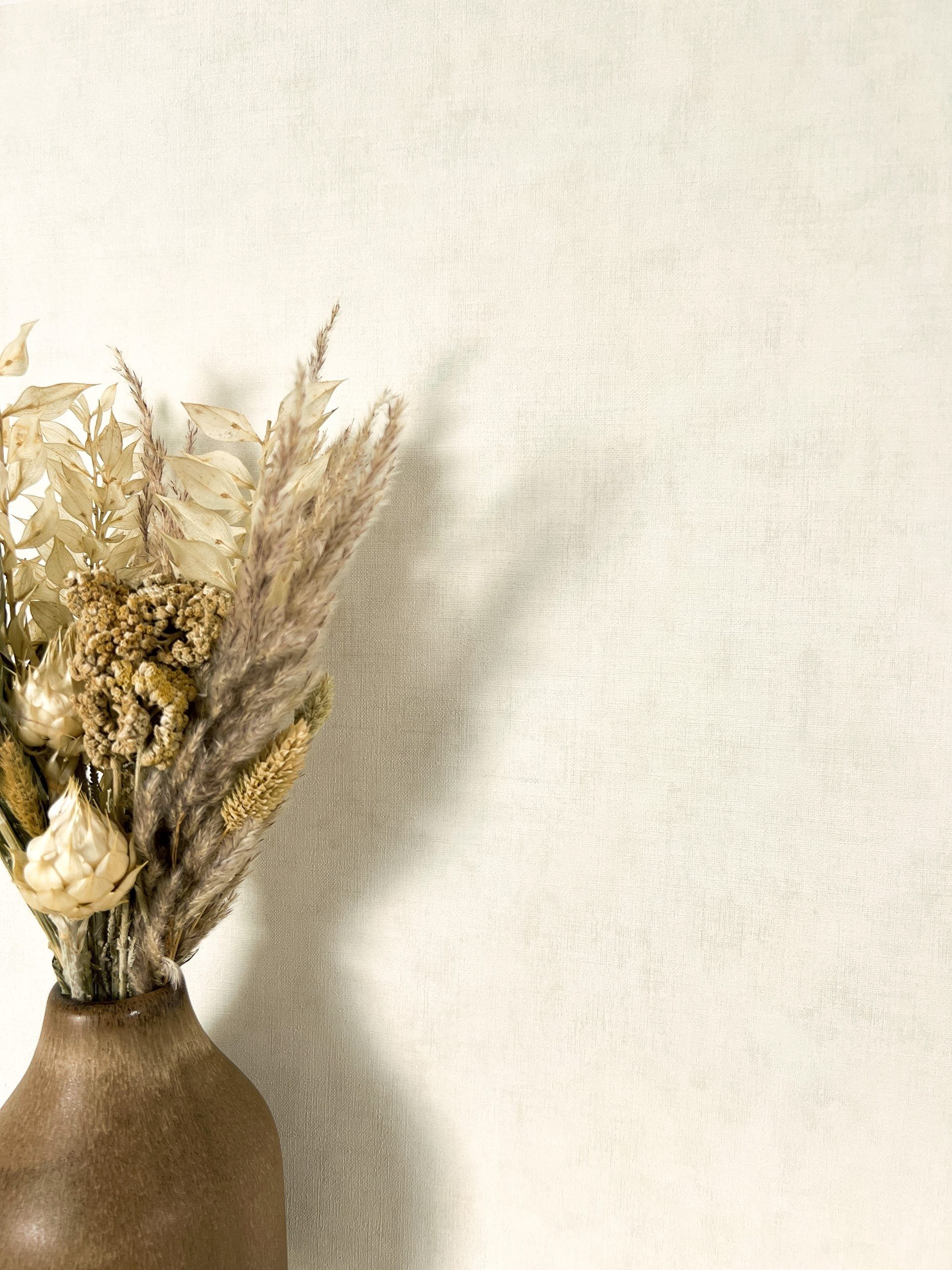 Newroom Vliestapete, Weiß Tapete Modern Unifarbe - Universal Einfarbig Crem günstig online kaufen