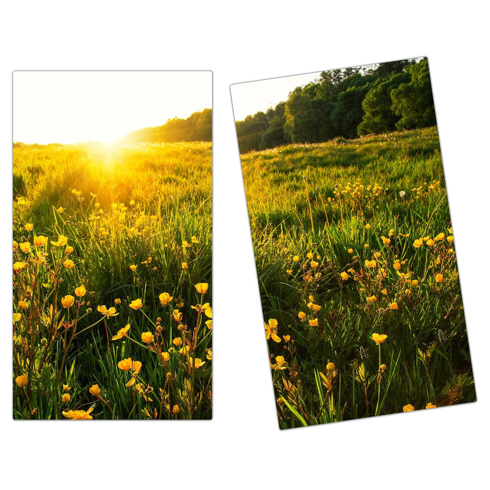Glas Primedeco Glas, aus tlg) Frühlingsblumen Herdabdeckplatte Sonne, in (2 Spritzschutz Herd-Abdeckplatte