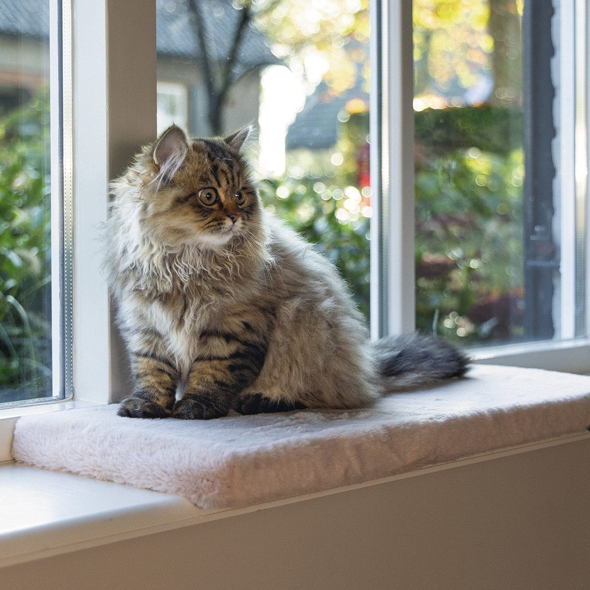 Beeztees Tierbett Fensterbankkissen Moza aus Plüsch günstig online kaufen