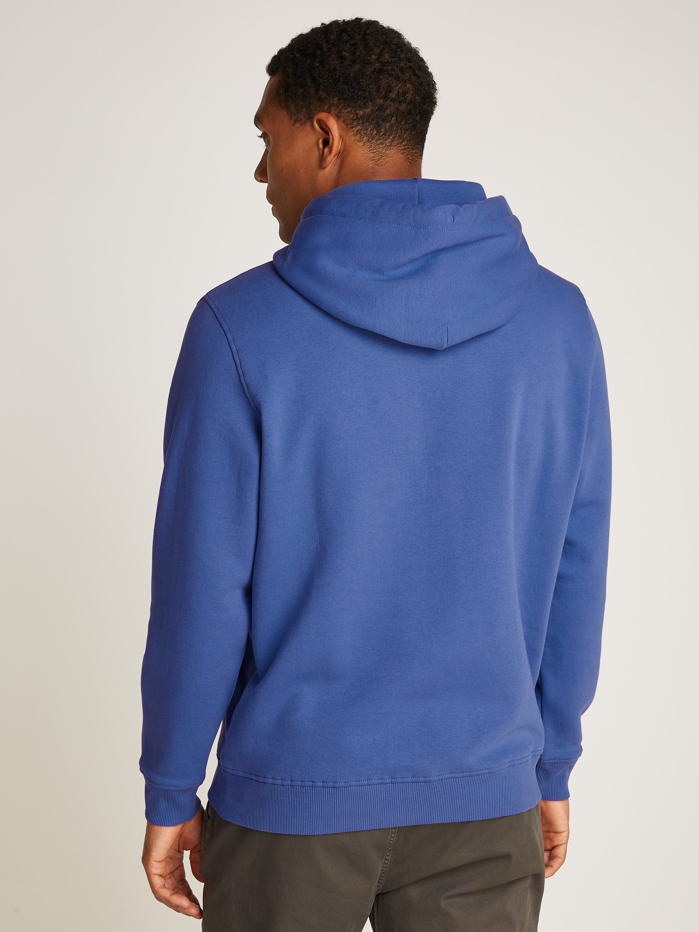 Tommy Jeans Hoodie TJM REG LINEAR günstig online kaufen
