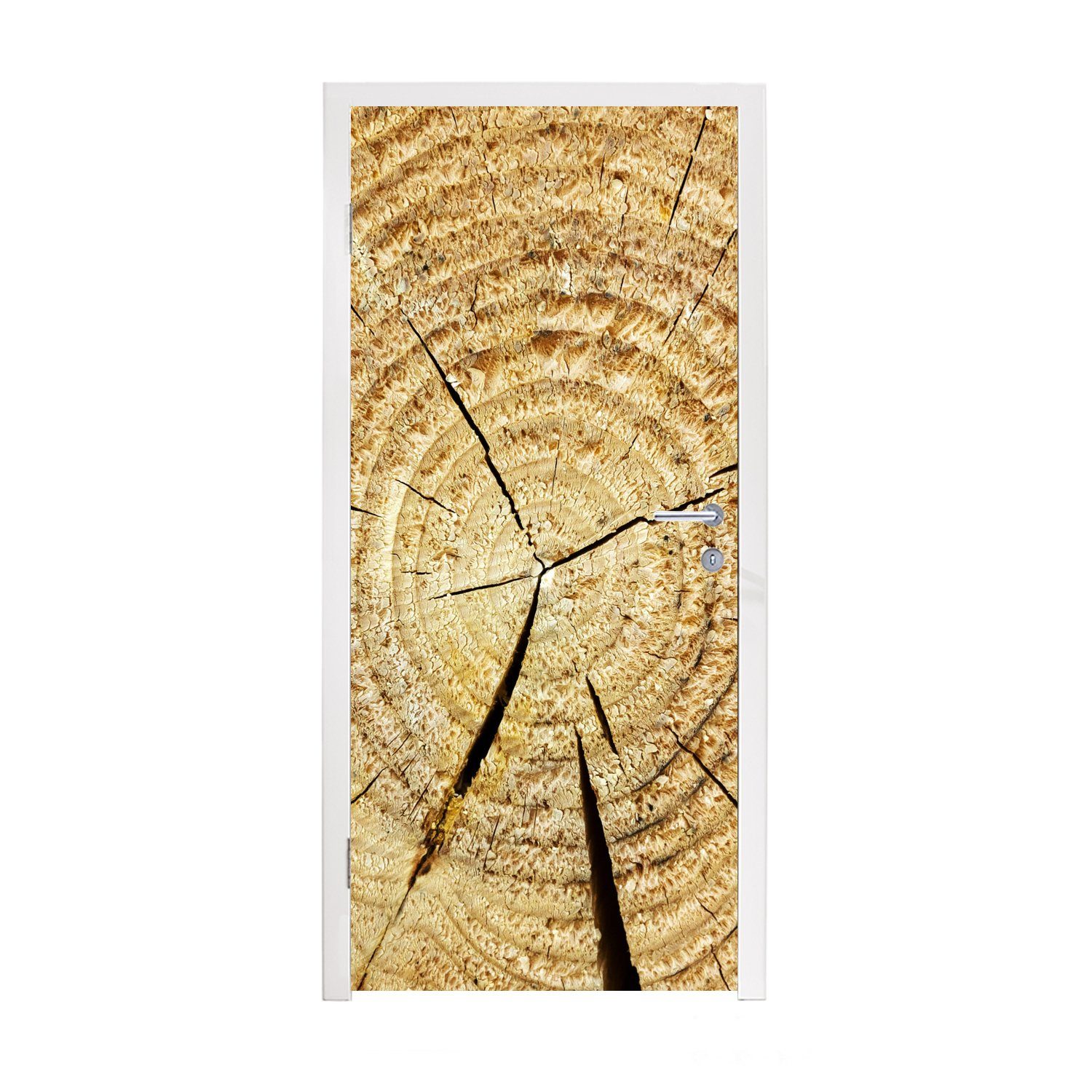 Türtapete Holz Baum St), für cm Laubholz, Türaufkleber, - bedruckt, - Matt, Fototapete MuchoWow (1 75x205 Tür,